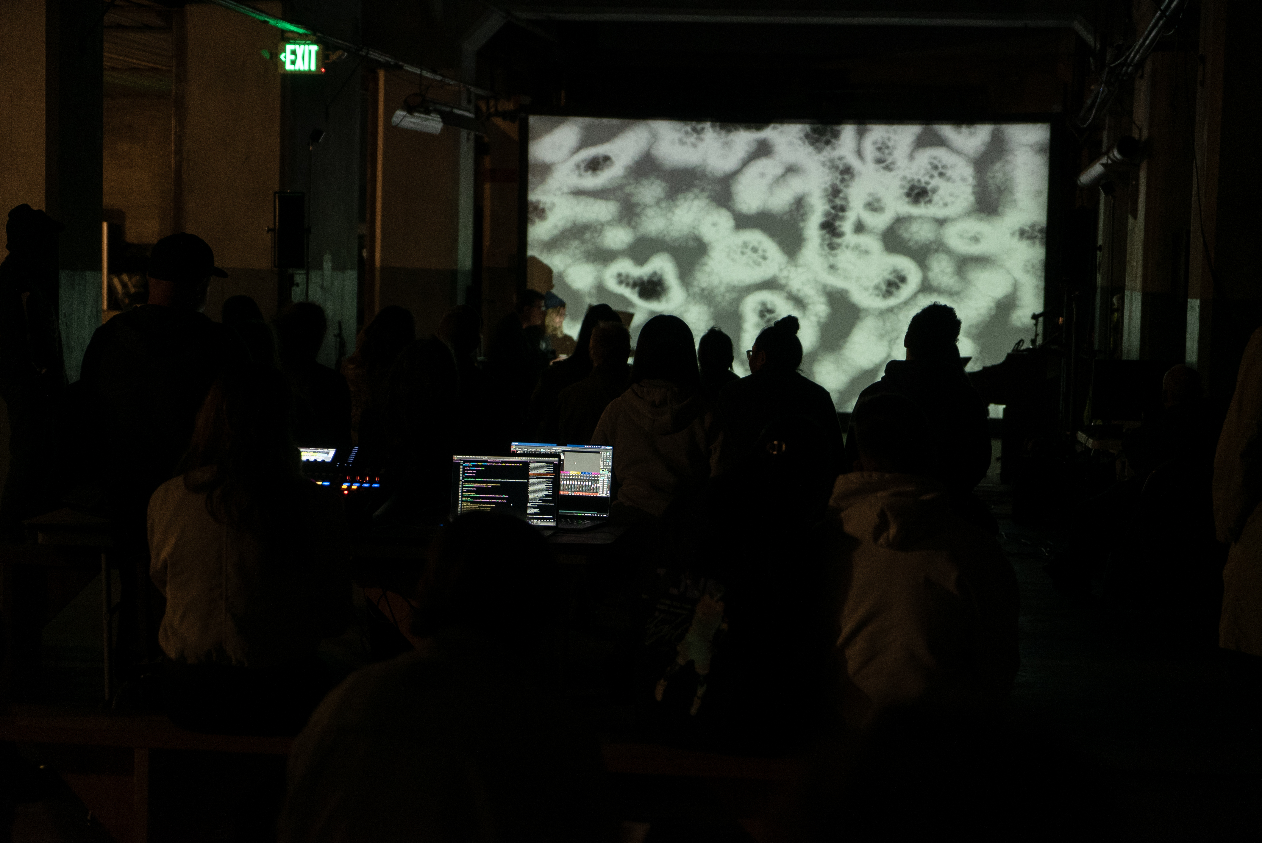 Installation View 1